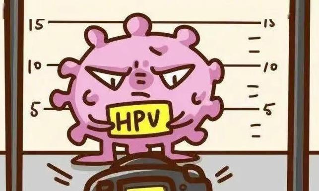 hpv凝胶定制厂家