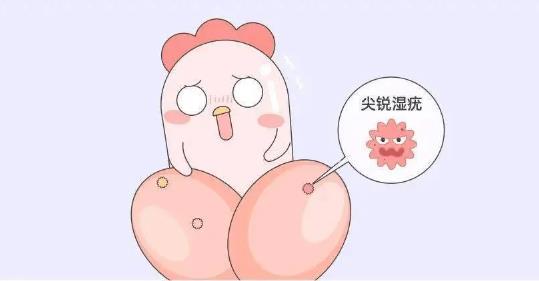 360截图20250507110809029.jpg