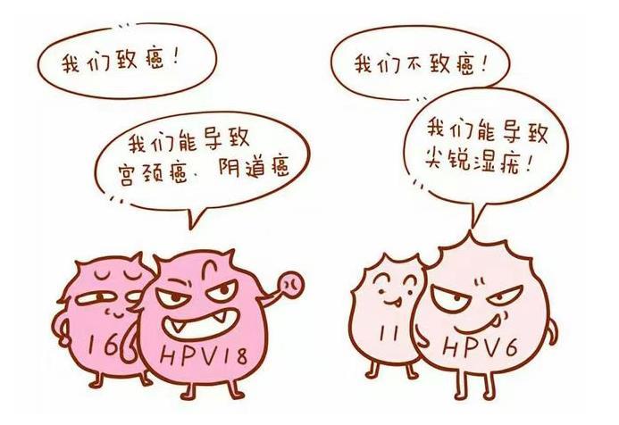 hpv凝胶定制工厂