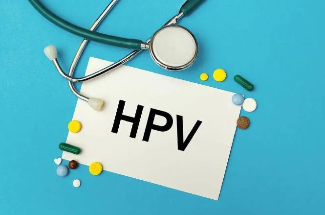 hpv凝胶定制厂家